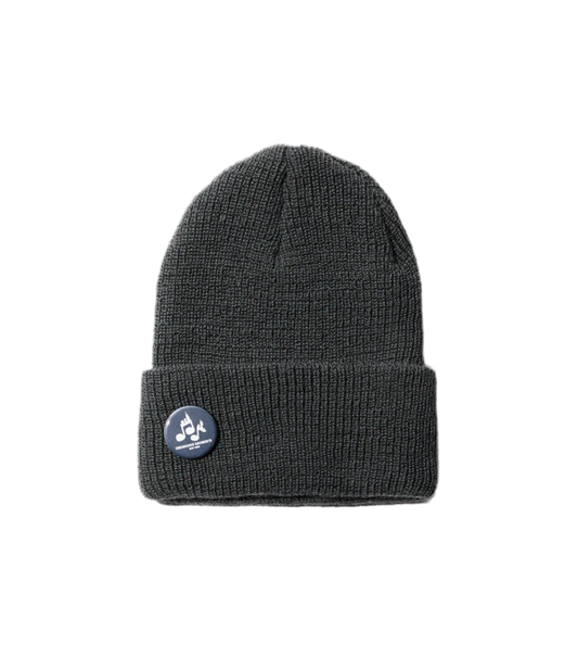 Wool Watch Cap in Grey