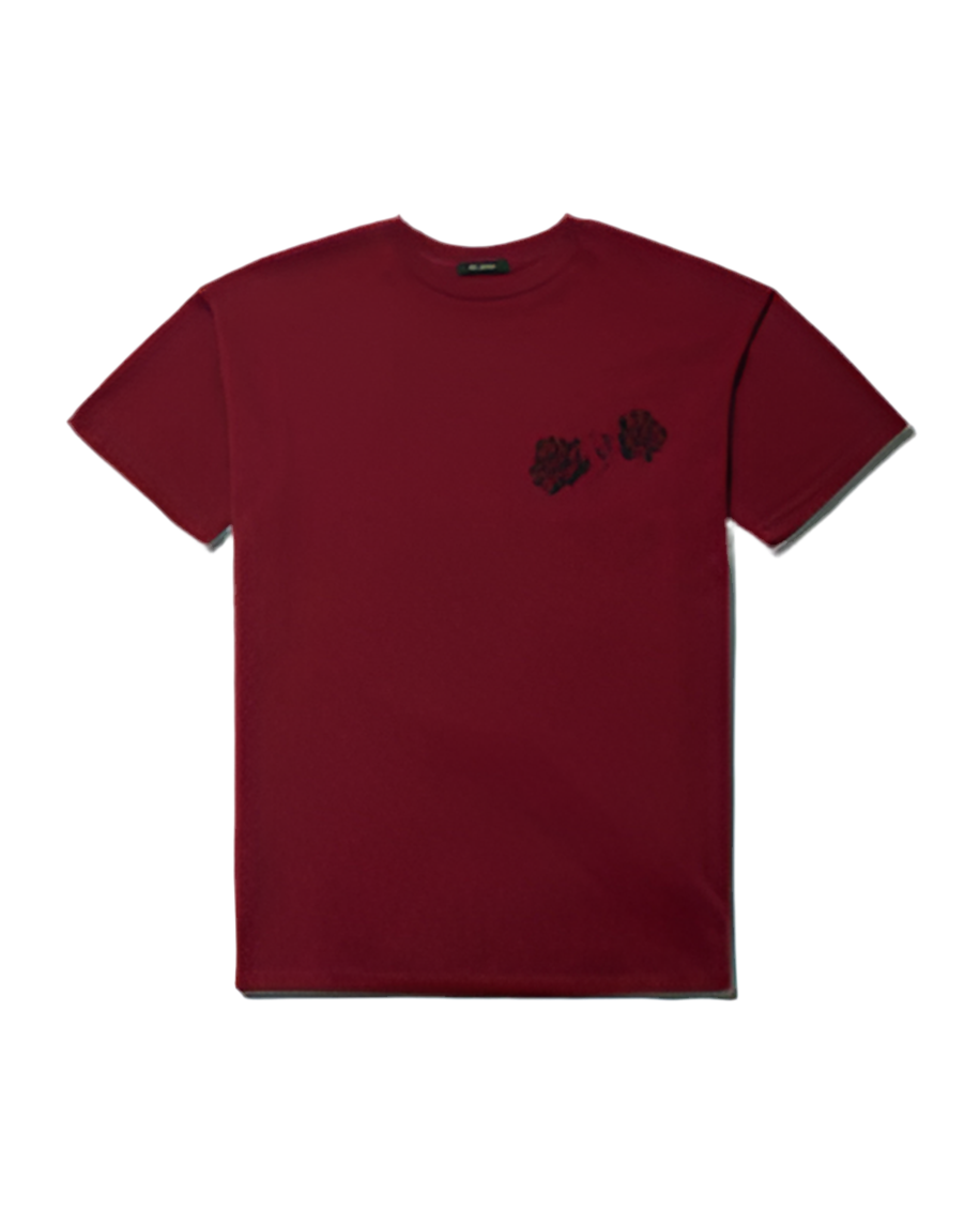 Proverb Easy Tee in Red