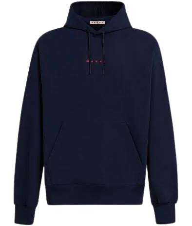 Logo Print Hooded Sweatshirt in Navy