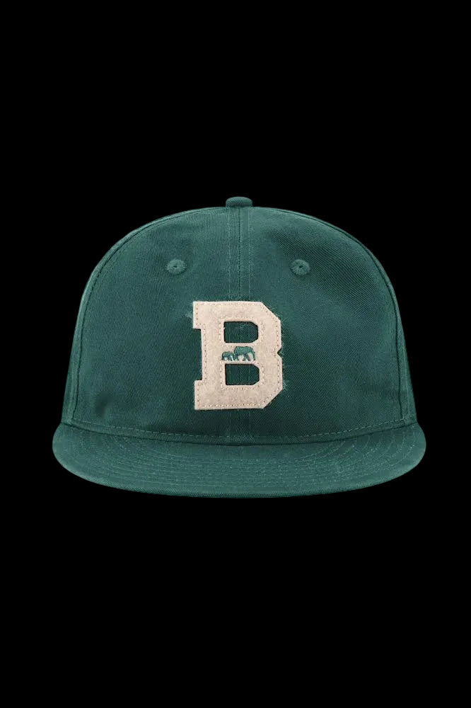 Cotton Thinkers Cap in Green